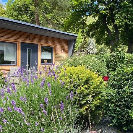 Das Ferienhaus Am Tiergarten Wernigerode Bagian luar foto