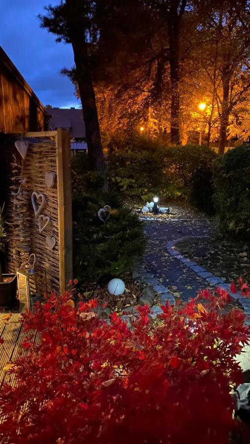 Das Ferienhaus Am Tiergarten Wernigerode Bagian luar foto