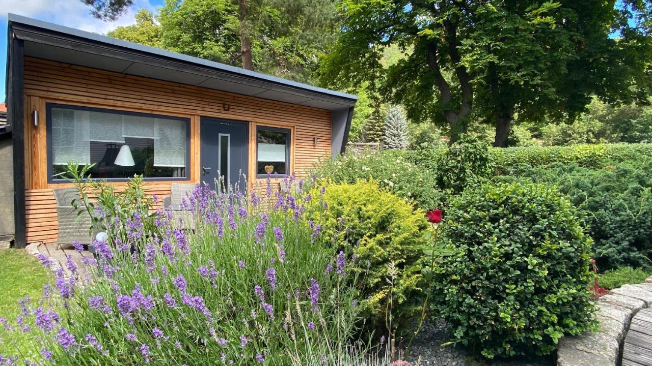 Das Ferienhaus Am Tiergarten Wernigerode Bagian luar foto
