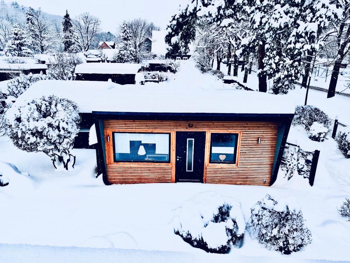 Das Ferienhaus Am Tiergarten Wernigerode Bagian luar foto